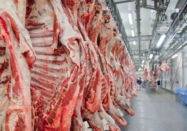 Após suspensão da China a exportações, preços da carne, frango e suínos já recuam no atacado