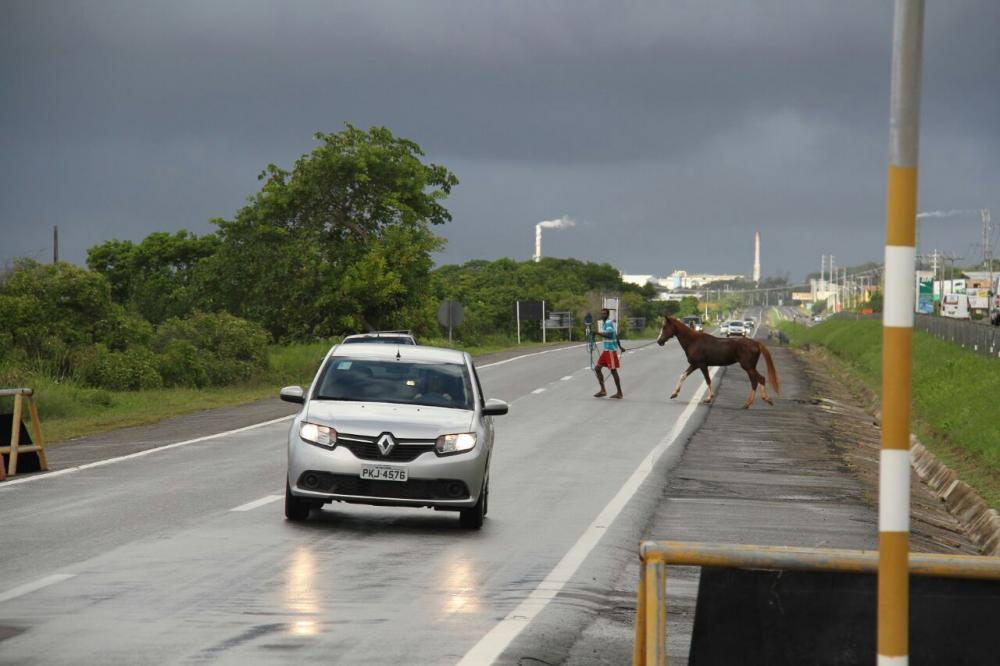 Pontes ao longo da linha verde passam por obras e motorista deve redobrar atenção; veja locais