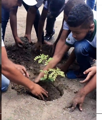 Governo Nandinho da Serraria inicia série de plantio de novas árvores no município