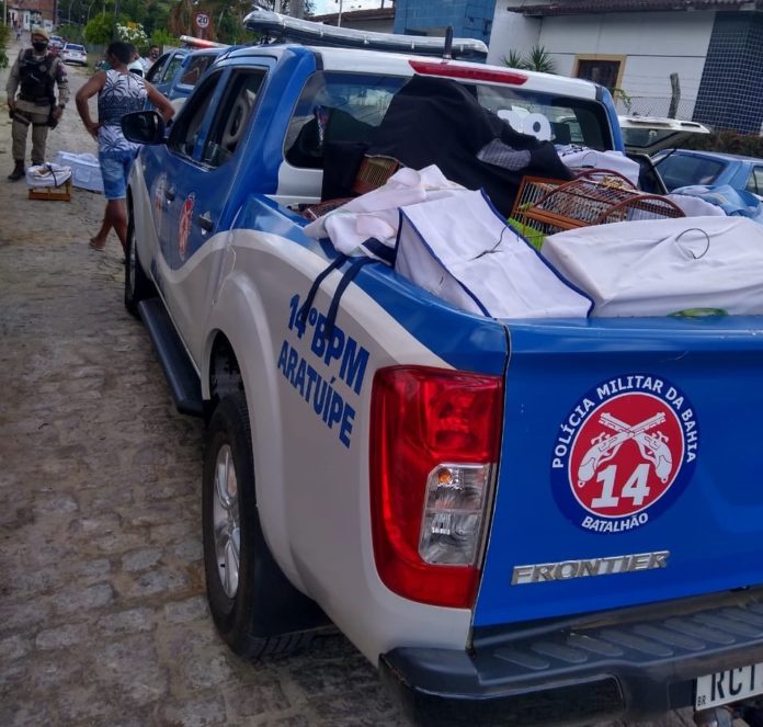 115 pássaros silvestres são resgatados pela PM em 48h na Bahia