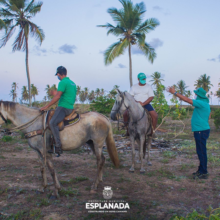 Prefeitura de Esplanada gastará mais de 17 mil reais em 07 meses com aluguel de terreno para apreensão de animais