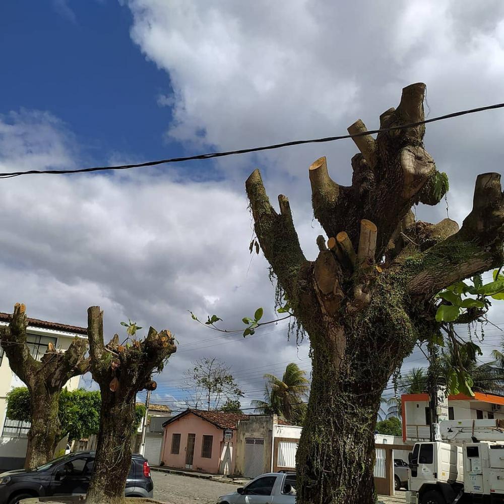 Vídeo: Método de poda de árvores revoltam esplanadenses